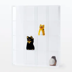 Boîte de collection en acrylique - 4 x 4