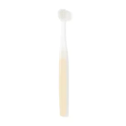 Brosse à dents avec tête interchangeable ‐ Large, poils moyens