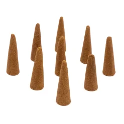 Cônes d'encens Hinoki - Lot de 20