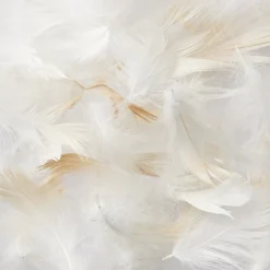 Coussin en Plumes 43 x 43 cm