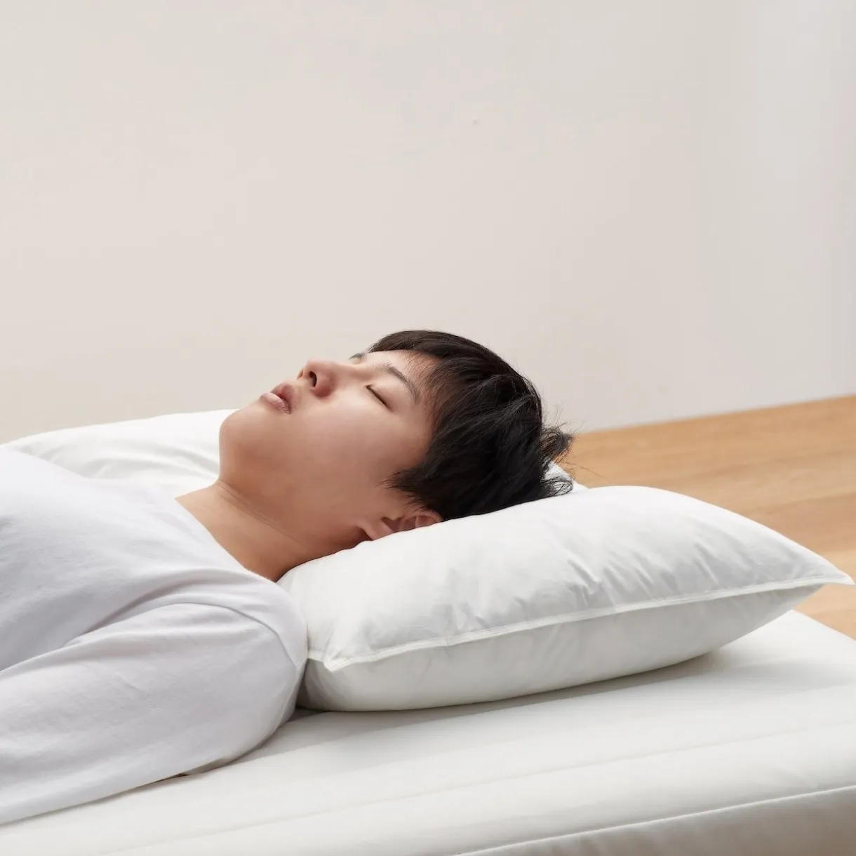 Oreiller en plumes 43 x 63 cm