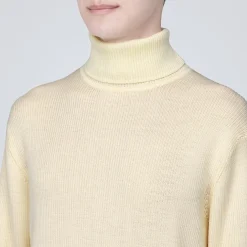 Pull en laine côtelée col roulé homme