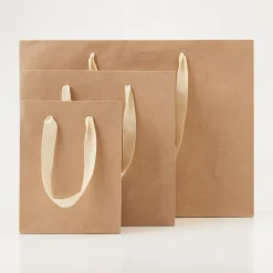 Sac en papier kraft S